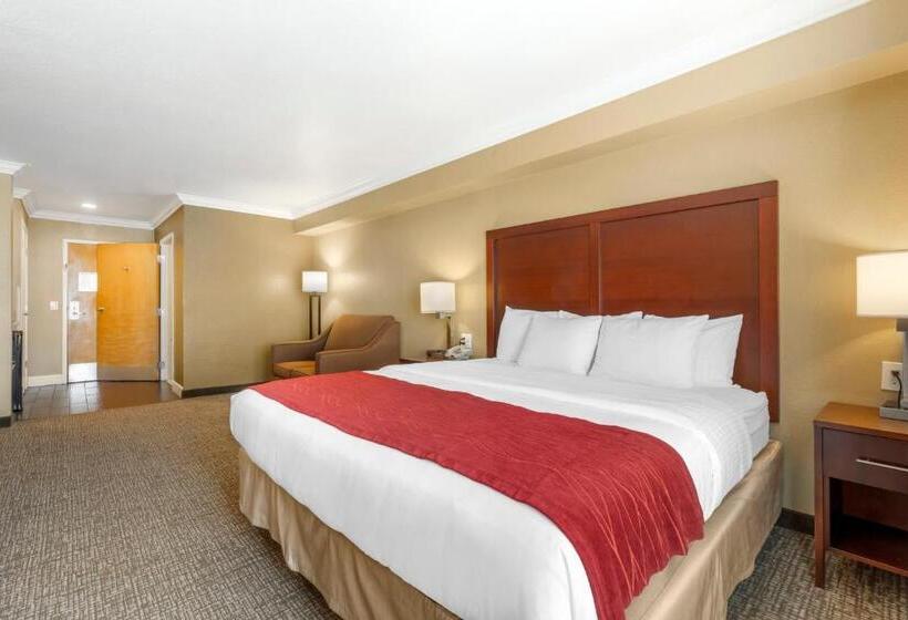 غرفة قياسية سرير كينج, Comfort Inn Arcata