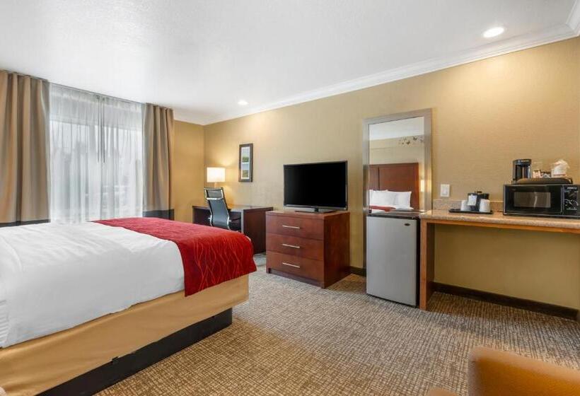 带大床的标准间, Comfort Inn Arcata