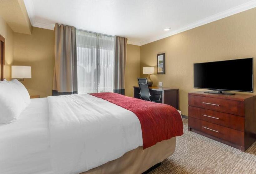 غرفة قياسية سرير كينج, Comfort Inn Arcata