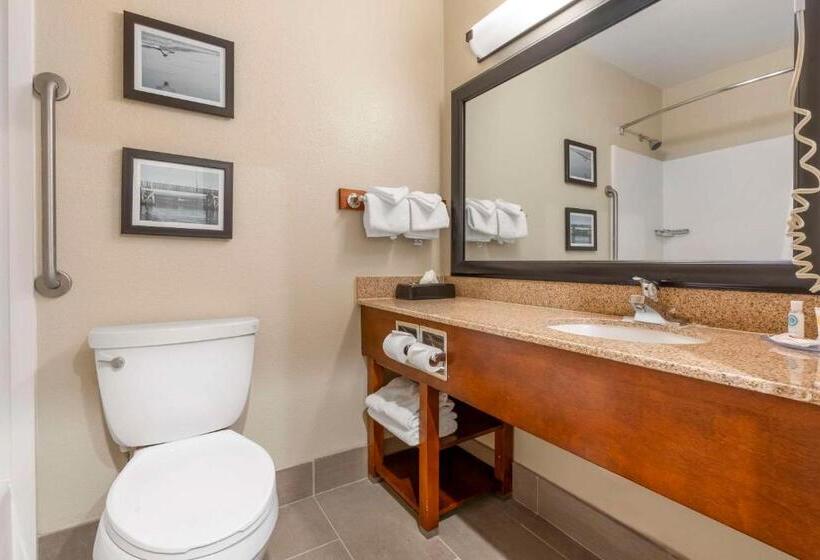 غرفة قياسية سرير كينج, Comfort Inn Arcata