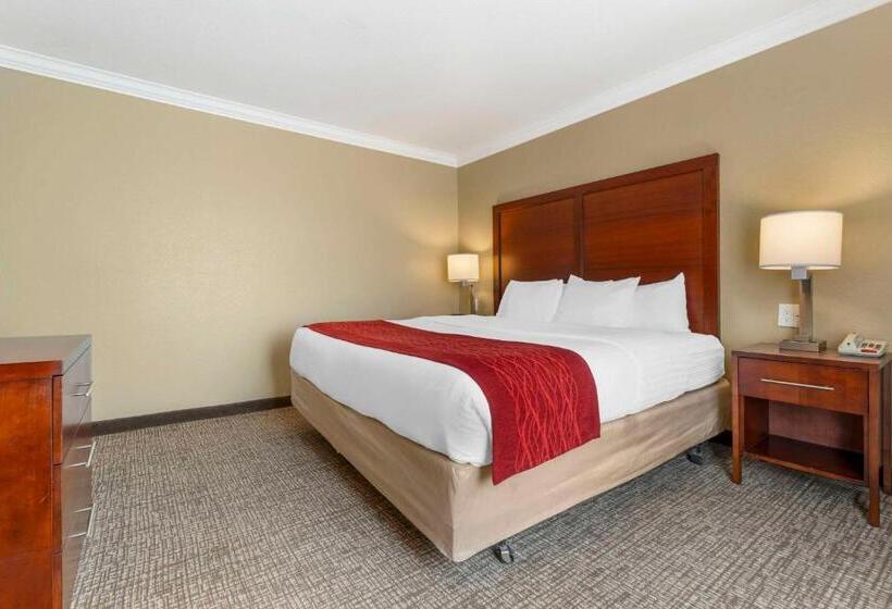 غرفة قياسية سرير كينج, Comfort Inn Arcata