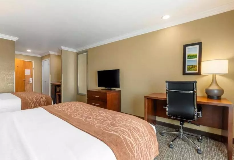 اتاق استاندارد با 2 تخت دوبل, Comfort Inn Arcata