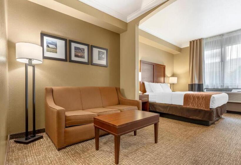 带大床的套房, Comfort Inn Arcata