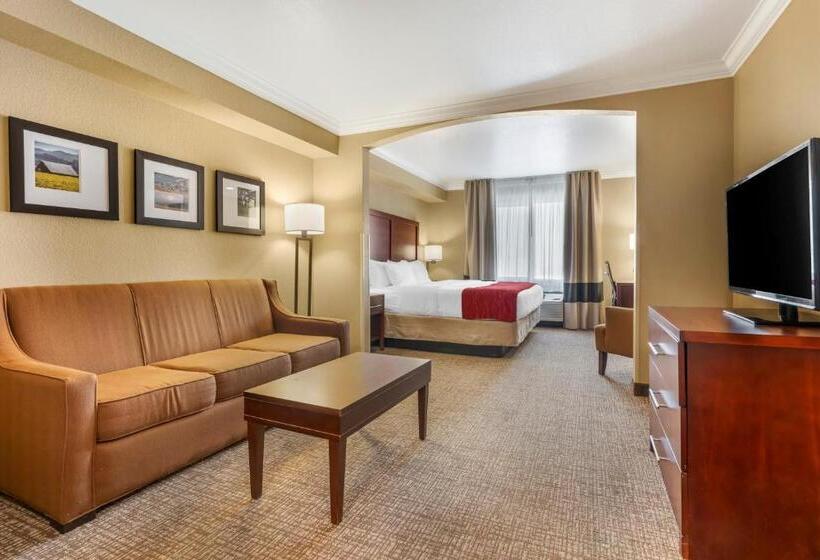 带大床的套房, Comfort Inn Arcata