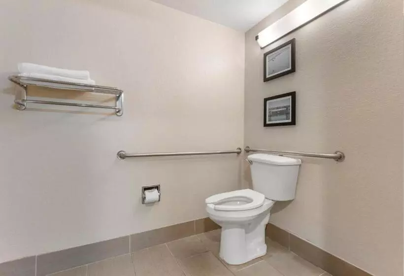 اتاق استاندارد با تخت بزرگ برای معلولان, Comfort Inn Arcata