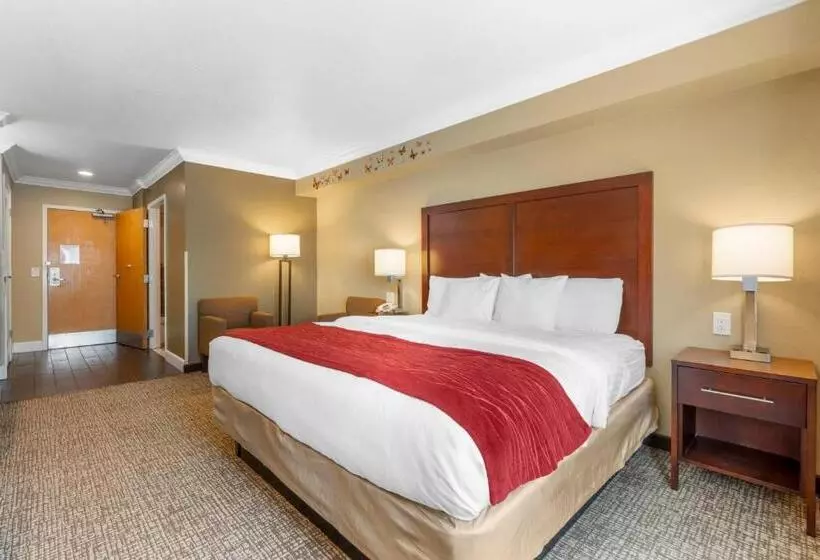 اتاق استاندارد با تخت بزرگ برای معلولان, Comfort Inn Arcata