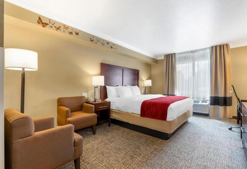 غرفة قياسية سرير كينج لذوى الإحتياجات الخاصة, Comfort Inn Arcata