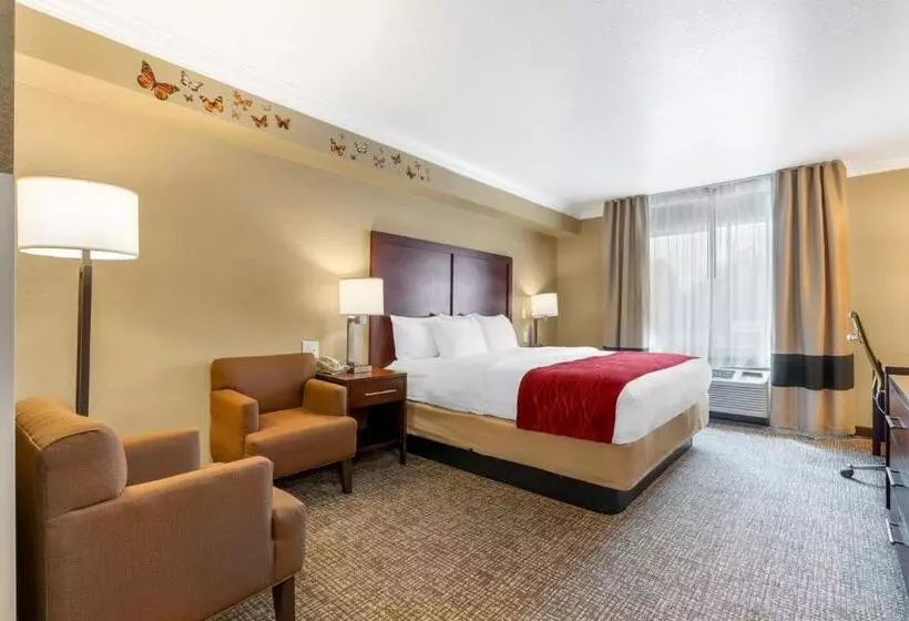 اتاق استاندارد با تخت بزرگ برای معلولان, Comfort Inn Arcata