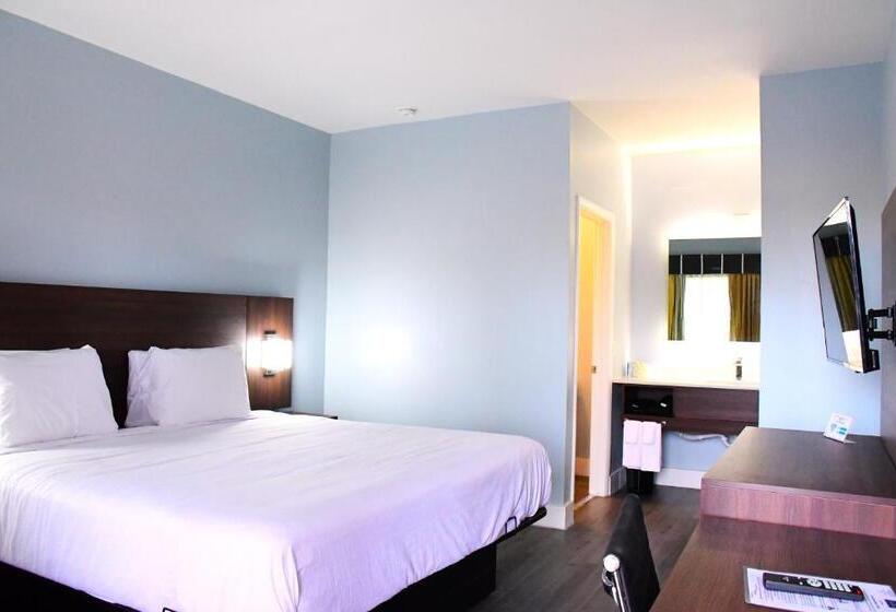 带大床的标准间, Florence Inn And Suites