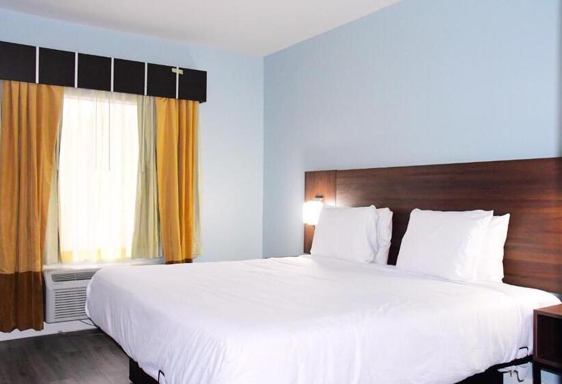 带大床的豪华间, Florence Inn And Suites