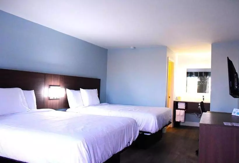 スタンダードルーム, Florence Inn And Suites