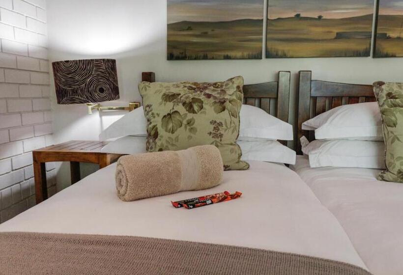 StandaardKamer, 25 On Catherine