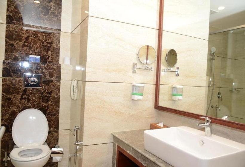 デラックスルーム, Viraj Sarovar Portico Jammu