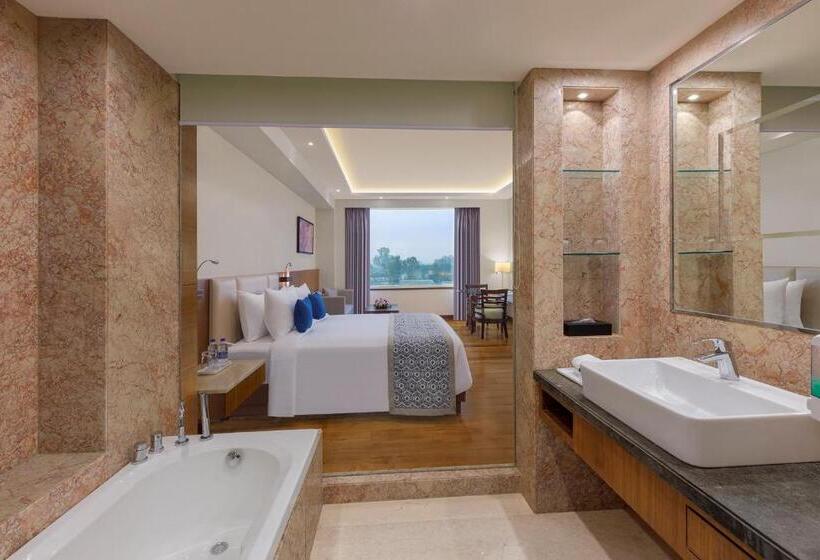 Полулюкс, Viraj Sarovar Portico Jammu