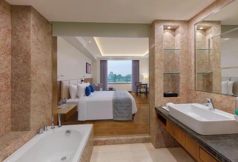 ジュニアスイート, Viraj Sarovar Portico Jammu