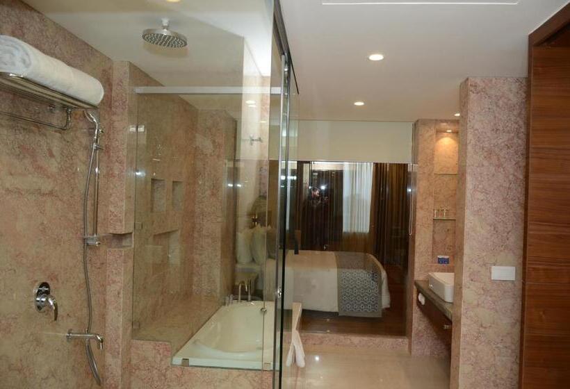 Полулюкс, Viraj Sarovar Portico Jammu