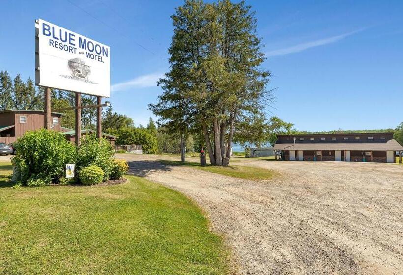 Номер Deluxe, Blue Moon Resort & Motel