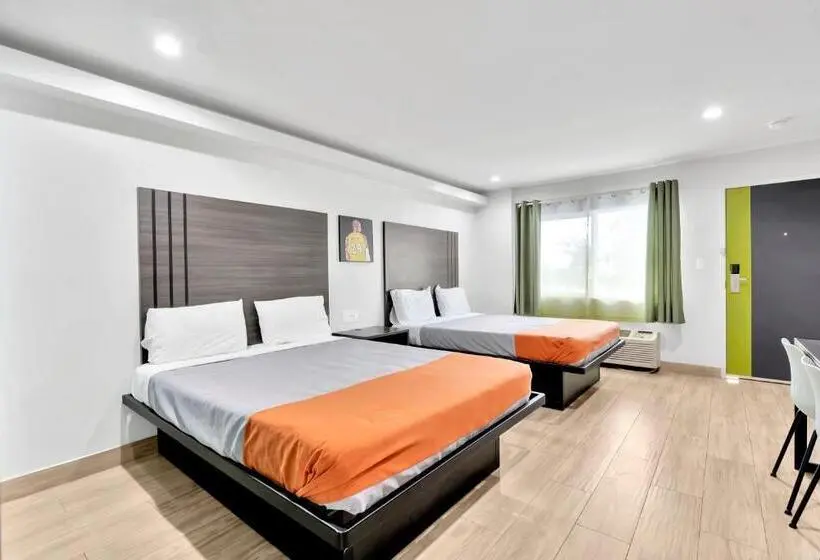 身障者適用スタンダードルーム, Exclusivo Inn And Suites