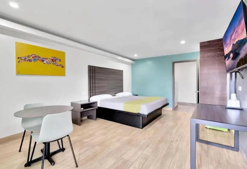 身障者適用キングサイズベッドルーム, Exclusivo Inn And Suites