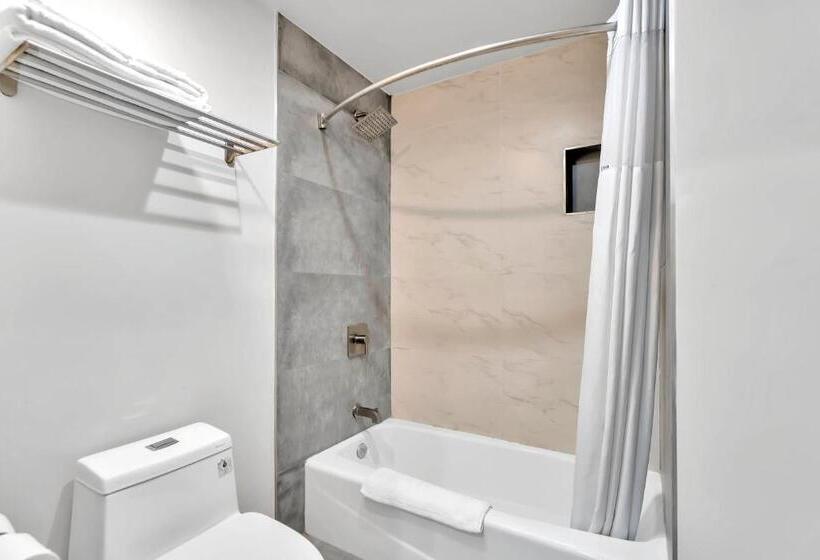 غرفة قياسية سرير كينج, Exclusivo Inn And Suites