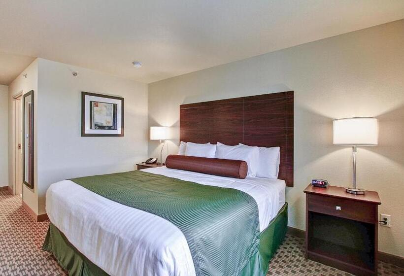 غرفة قياسية سرير كينج, Castle Rock Inn & Suites  Quinter