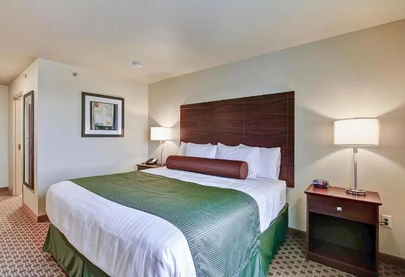 Standard-huone King-vuode, Castle Rock Inn & Suites  Quinter