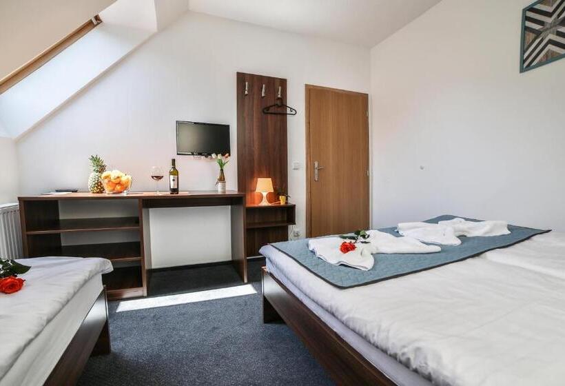 Трехместный Номер Стандарт Совместная Ванная, Vincent