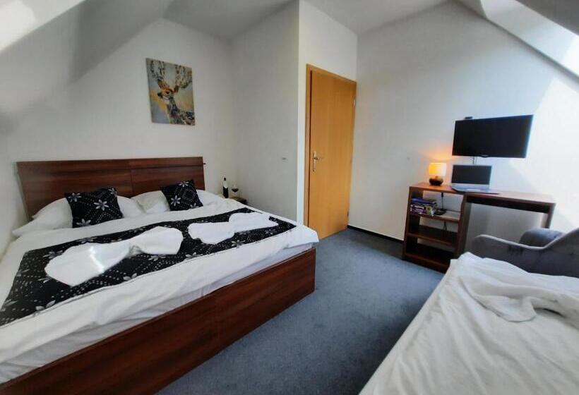 Трехместный Номер Стандарт Совместная Ванная, Vincent