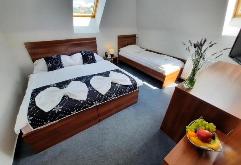 Трехместный Номер Стандарт Совместная Ванная, Vincent