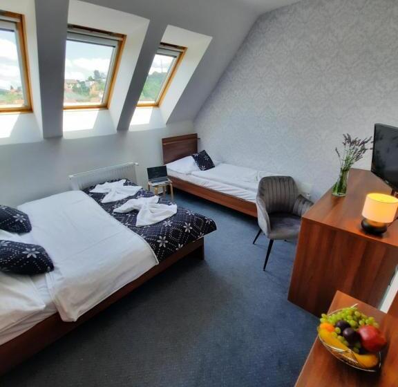 Номер Стандарт Трехместный, Vincent