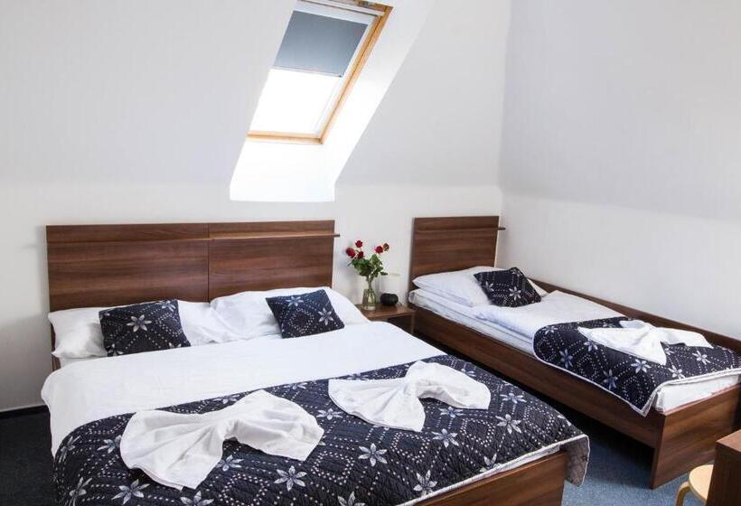 Трехместный Номер Стандарт Совместная Ванная, Vincent