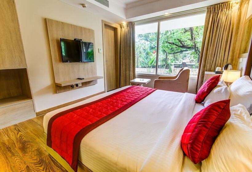 Deluxe Rum, Regent Laguna