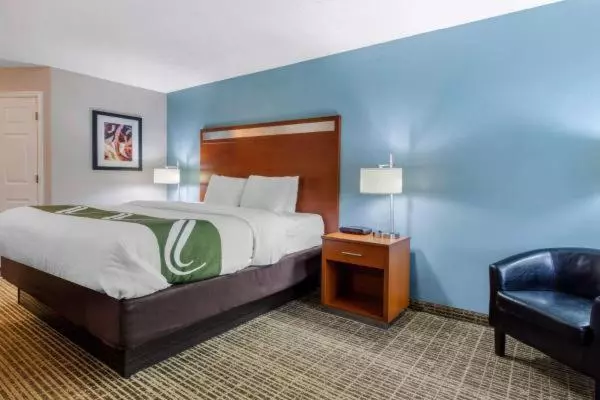 キングサイズベッドのスタンダードルーム, Quality Inn Oxford Anniston I20