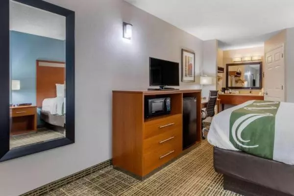 キングサイズベッドのスタンダードルーム, Quality Inn Oxford Anniston I20