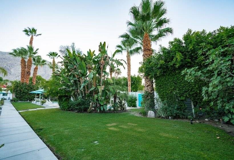 スーペリアスタジオ, Bellevue Oasis Adults Only