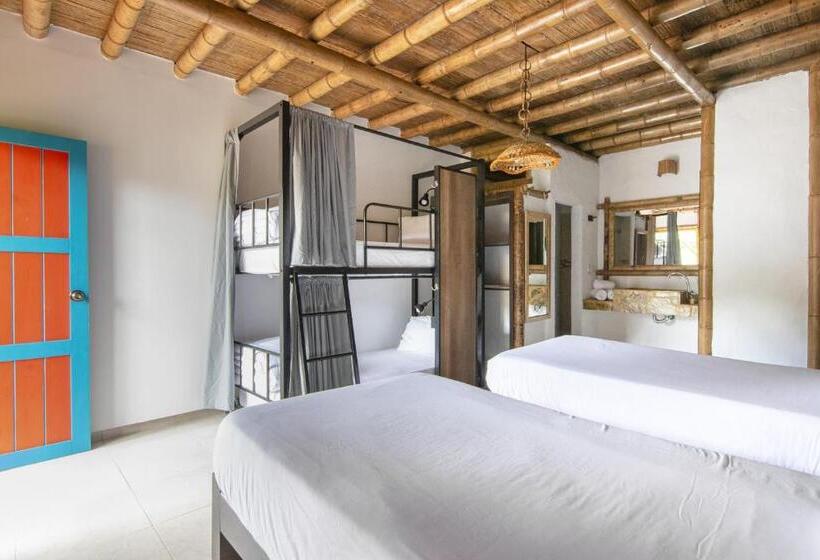 Семейный Номер, Socialtel Filandia