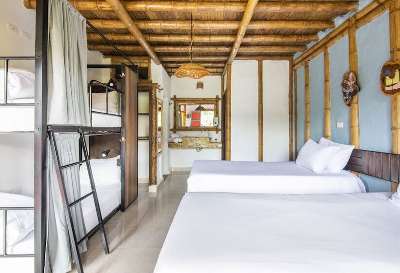 Номер Стандарт, Socialtel Filandia