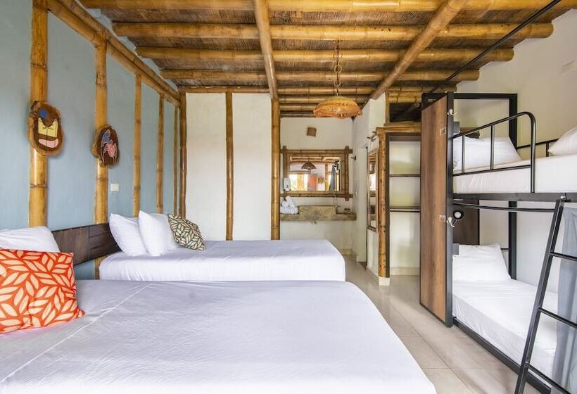 Номер Стандарт, Socialtel Filandia