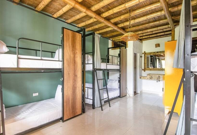 Семейный Номер, Socialtel Filandia