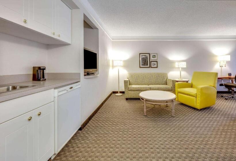 غرفة ديلوكس سرير كينج, La Quinta By Wyndham Dallas   Addison Galleria