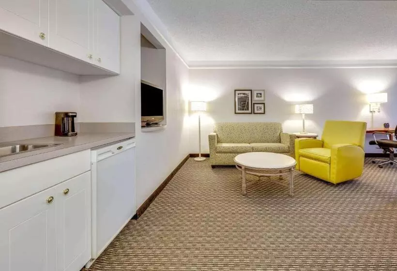 キングサイズベッドのデラックスルーム, La Quinta By Wyndham Dallas   Addison Galleria