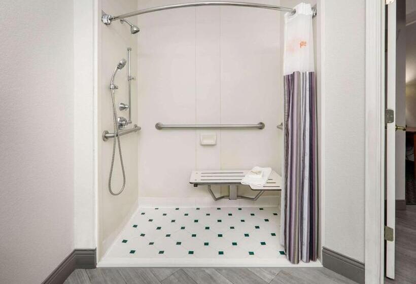 غرفة قياسية سرير كينج لذوى الإحتياجات الخاصة, La Quinta By Wyndham Dallas   Addison Galleria