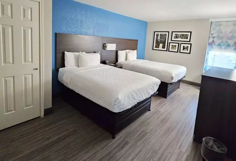 デラックスルーム, La Quinta By Wyndham Houston Stafford Sugarland