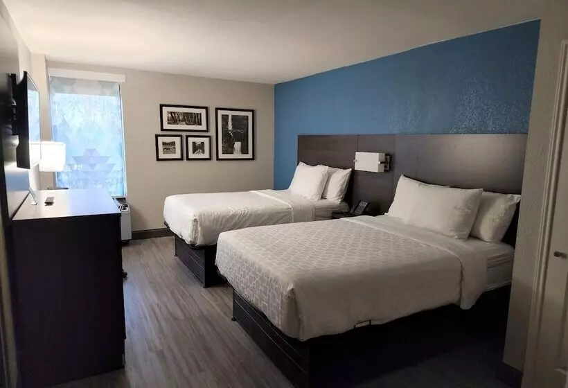 デラックスルーム, La Quinta By Wyndham Houston Stafford Sugarland