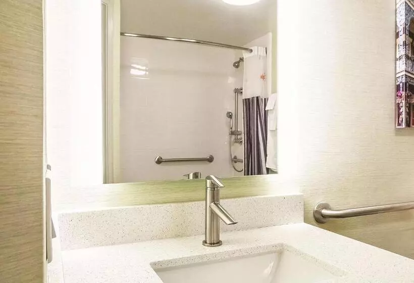 اتاق استاندارد با تخت بزرگ برای معلولان, La Quinta By Wyndham New Orleans Downtown