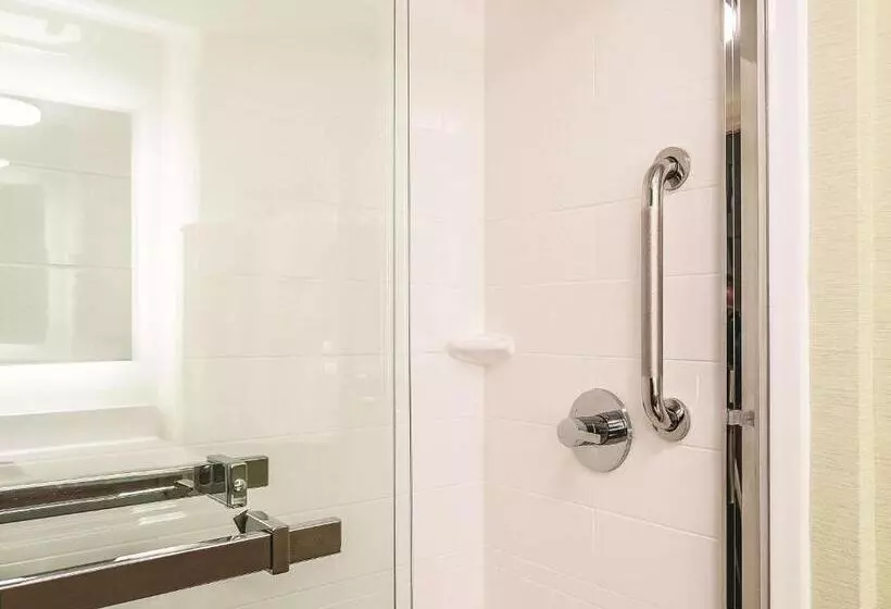 اتاق استاندارد با تخت بزرگ برای معلولان, La Quinta By Wyndham New Orleans Downtown