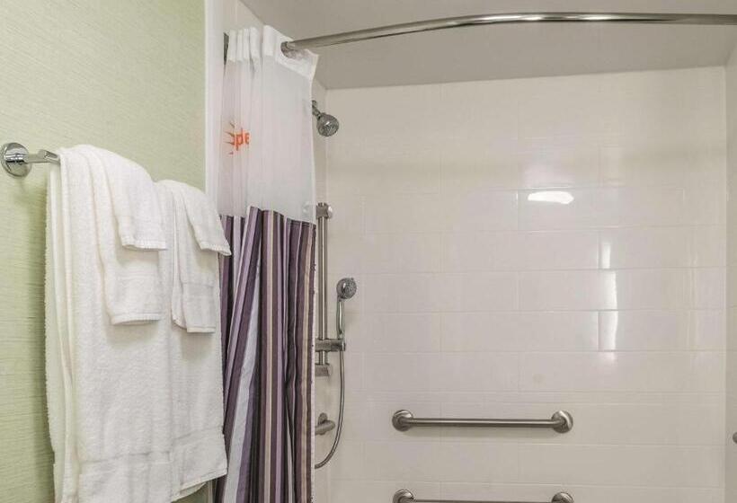 اتاق استاندارد با تخت بزرگ برای معلولان, La Quinta By Wyndham New Orleans Downtown