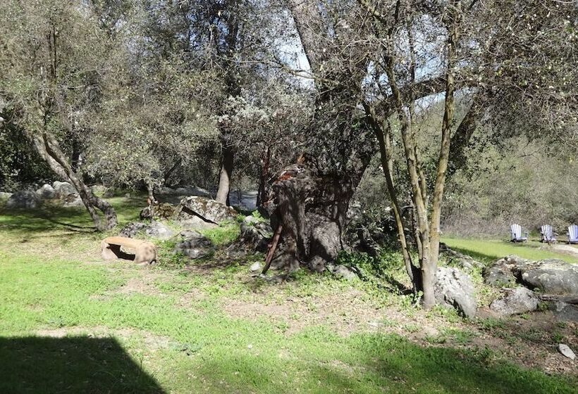 디럭스 룸, Little Valley Inn