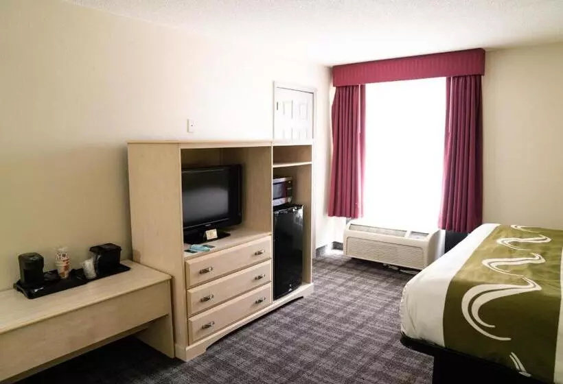 キングサイズベッドのスタンダードルーム, Quality Inn Seymour I65