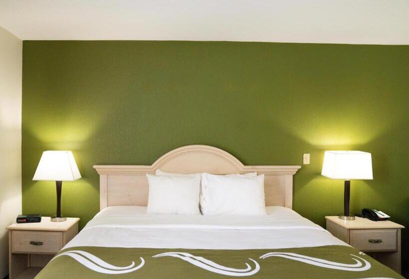 غرفة قياسية سرير كينج, Quality Inn Seymour I65